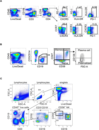 Figure 3-figure supplement 1: