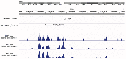 Supplementary Fig. 7