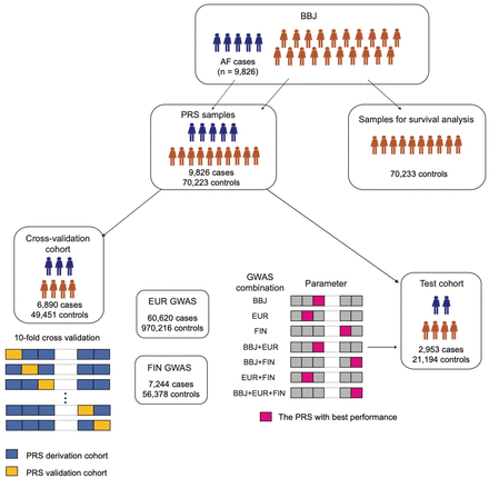 Supplementary Fig. 15