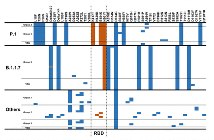 Supplementary Figure 3.