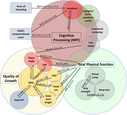 Figure 4: