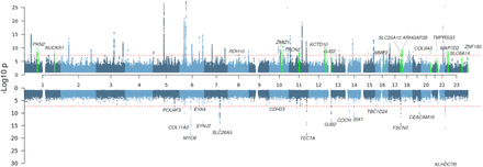 Figure 1: