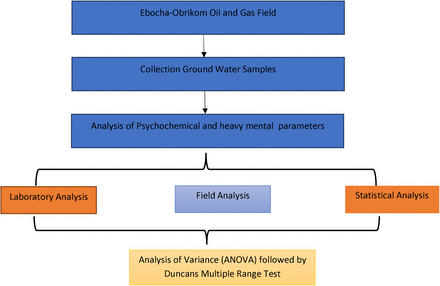 Figure 6: