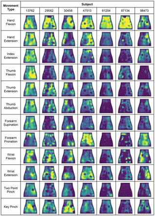 Supplementary Figure 9.