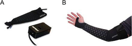 Supplementary Figure 1.