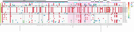 Supplementary Figure S2: