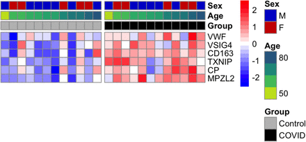 Supplementary Figure 6.
