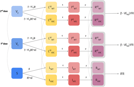 Figure 6: