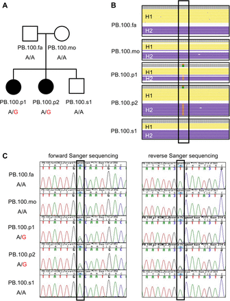 Figure 1: