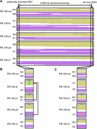 Figure 2: