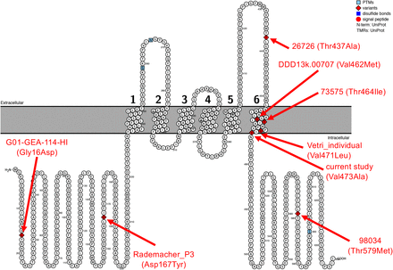 Figure 3: