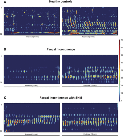 Figure 3: