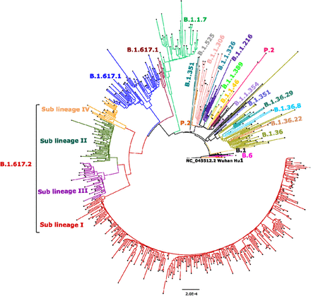 Figure 4: