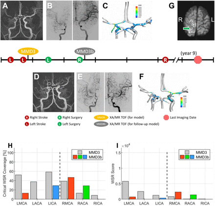 Fig. 6: