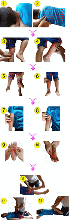 Figure 2.