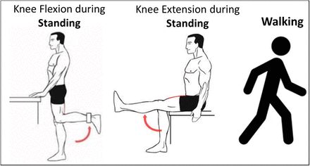 Figure 4: