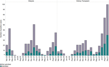 Figure 2b: