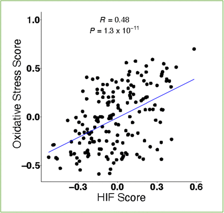 Figure 1-figure supplement 1.