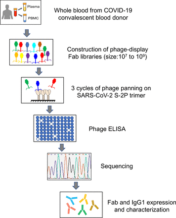 Extended Data Figure 1