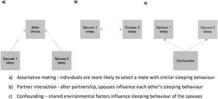 Figure 1: