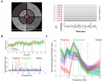 Figure 1: