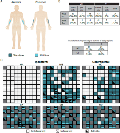 Figure 2: