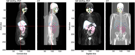 FIGURE 1: