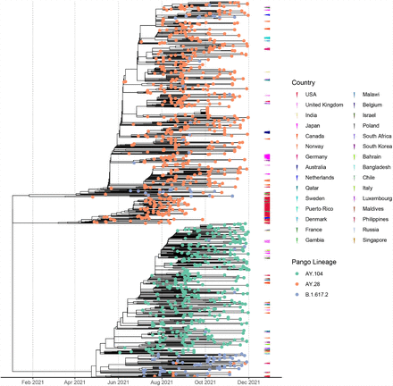 Figure 3: