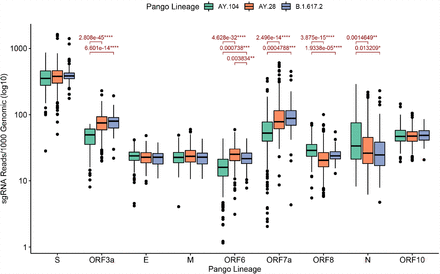 Figure 4: