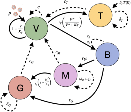 Figure 5: