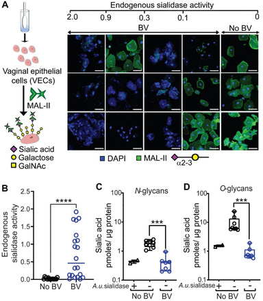 Fig. 2: