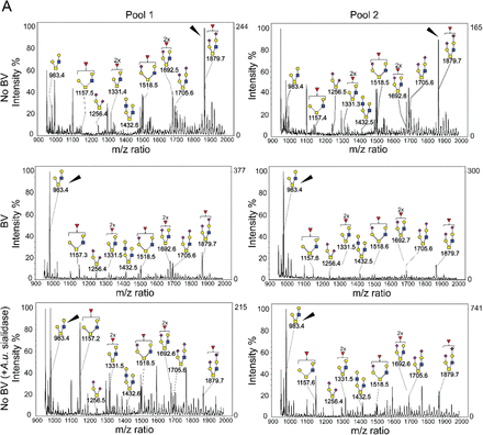 Fig. 4: