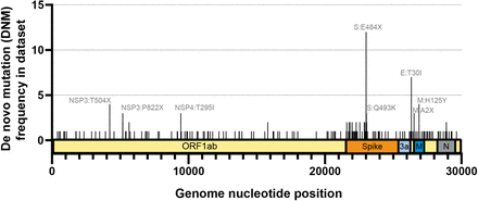 Figure 1: