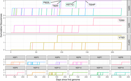 Figure 4: