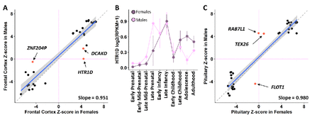 Fig 3.
