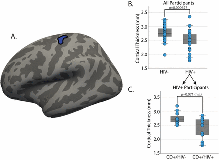 Figure S1: