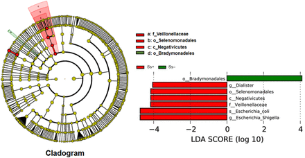 Fig 3.