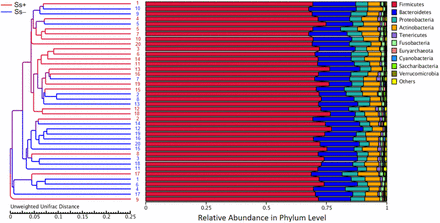 Fig 5.