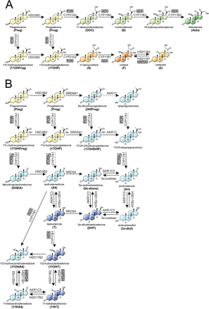 Figure 1: