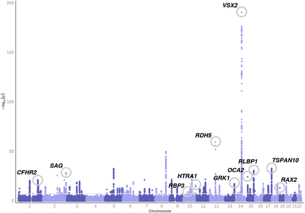 Fig 3.