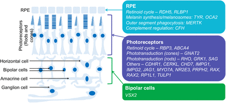 Fig 4.