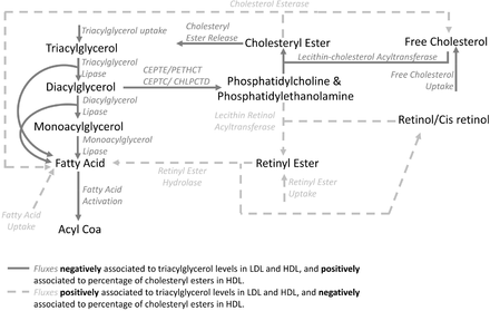 Fig. 4: