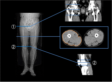 Fig 2.