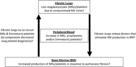 Figure 10.