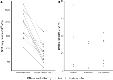 Figure 6: