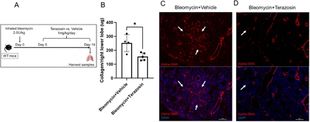 Figure 4: