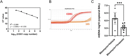 Figure 5: