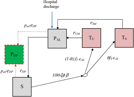 Figure 4: