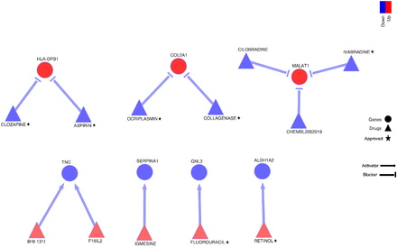 Figure 4: