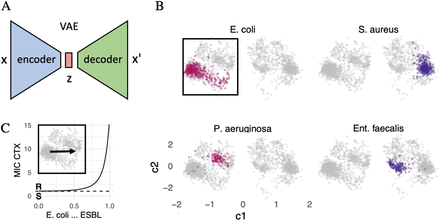 Figure 1: